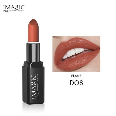 Pigment Multiple Colour Waterproof Long Lasting Matte Lipstick 1pcs