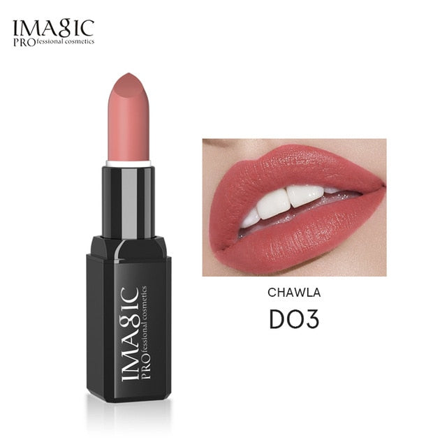 Pigment Multiple Colour Waterproof Long Lasting Matte Lipstick 1pcs