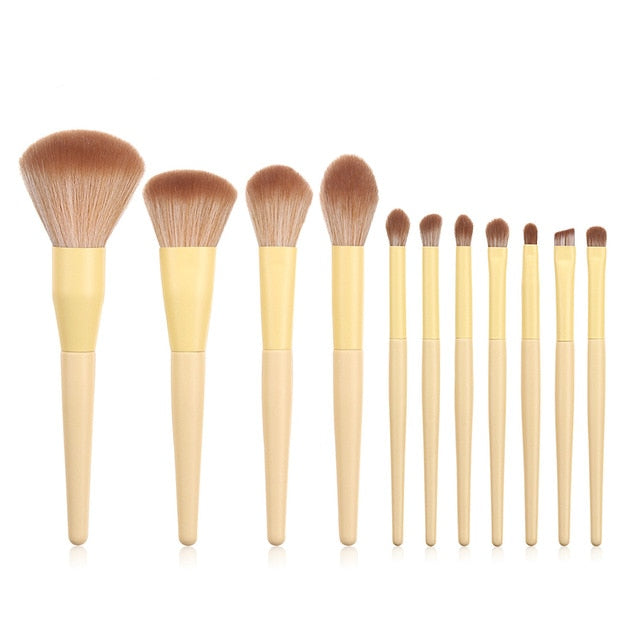 Pink Fan Make Up Brushes Set